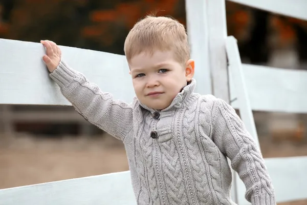 2 Jahre alter kleiner Junge auf dem weißen Zaun neben den Vorspeisen — Stockfoto