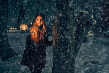 Kış ormanlarında fenerli genç kız peri masalı, kitap kapağı, Noel zamanı