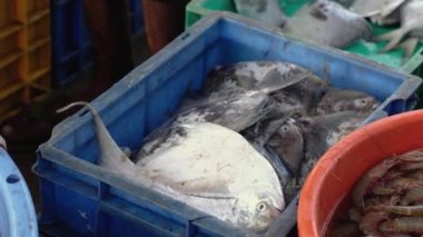İnsan el alışverişi taze balık pazarı, Chapora, GOA, Hindistan