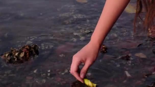 Mujer Cuidadosamente Captura Flor Del Agua — Vídeo de stock