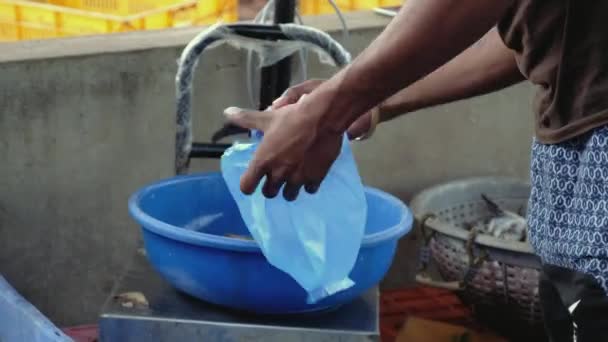 Mano Hombre Pone Camarones Frescos Una Bolsa Chapora Goa India — Vídeos de Stock