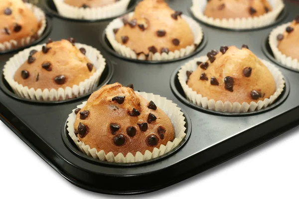 Chocolate chip muffins färskt från ugnen — Stockfoto