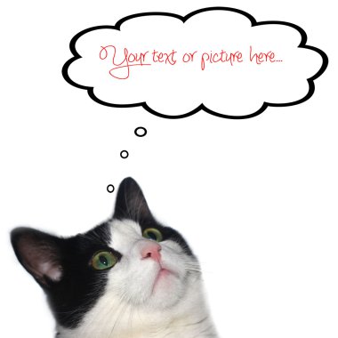Cat with thought bubble clipart