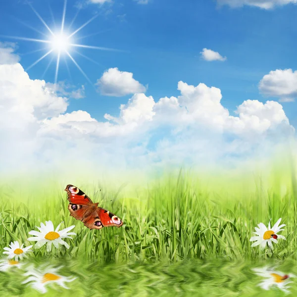 Spring background — Stock Photo, Image