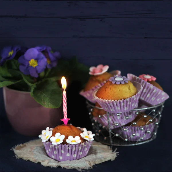 Heerlijke cupcakes — Stockfoto