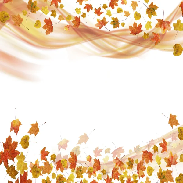 Vlna z podzimní listí — Stock fotografie