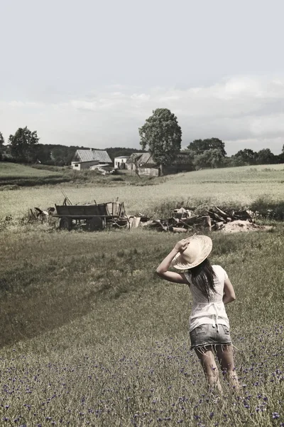 麦畑で女の子を見て、ファーム — ストック写真