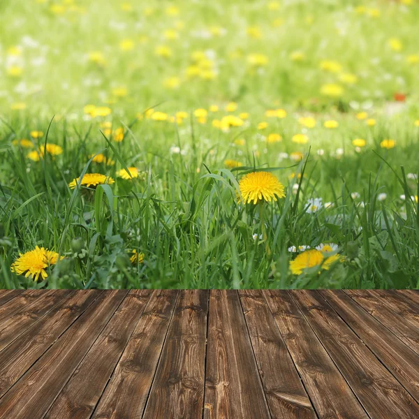 Fresh Spring background — Stock Photo, Image