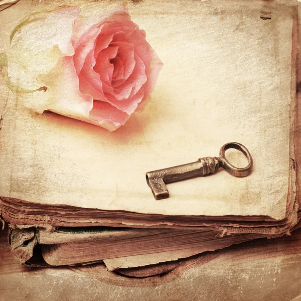 Pink rose on an old book (vintage) — Stock Photo, Image