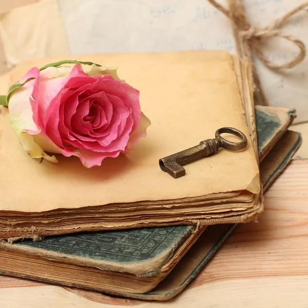 Růžová růže na staré knize (vintage) — Stock fotografie