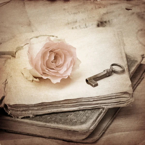 Pink rose on an old book (vintage) — Stock Photo, Image