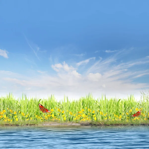 Beautiful spring background — Stock Photo, Image