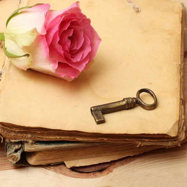 Rosa rosa su un vecchio libro (vintage ) — Foto Stock