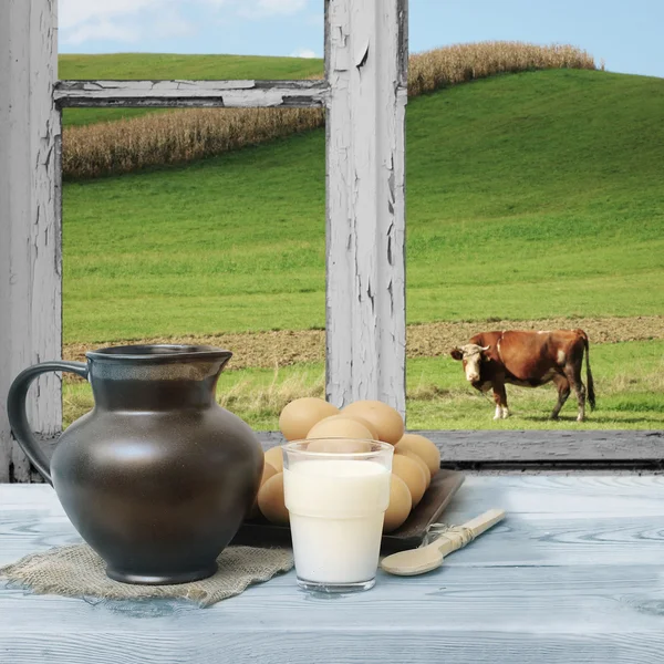 Vista do campo do prado e uma vaca — Fotografia de Stock