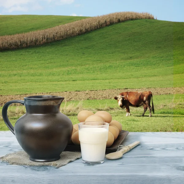 : Countryside view of the meadow — Stock Photo, Image