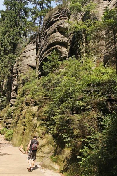 青空の背景に対して岩と木 — ストック写真