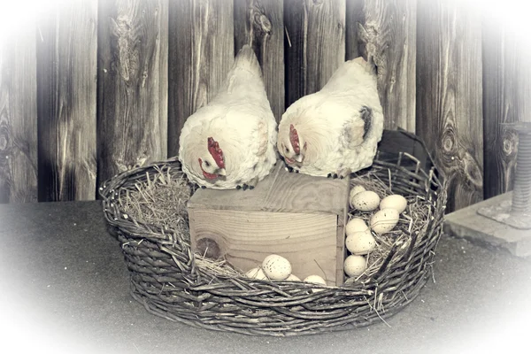 Pollos y huevos en el nido. Tarjeta de Pascua —  Fotos de Stock