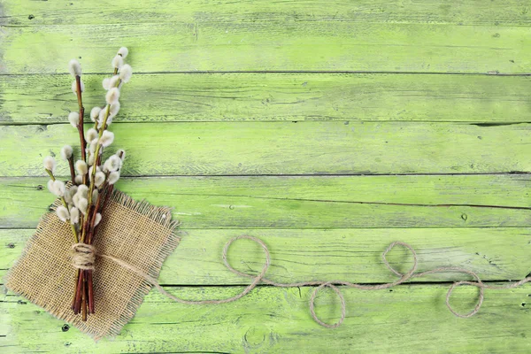 Pussy willow twijgen op hout achtergrond — Stockfoto