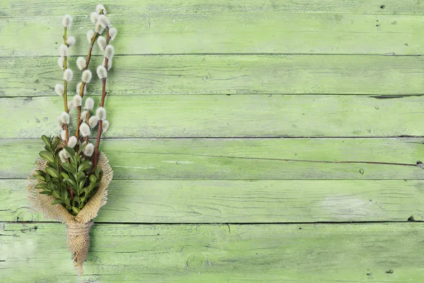 Pussy willow twijgen op hout achtergrond — Stockfoto