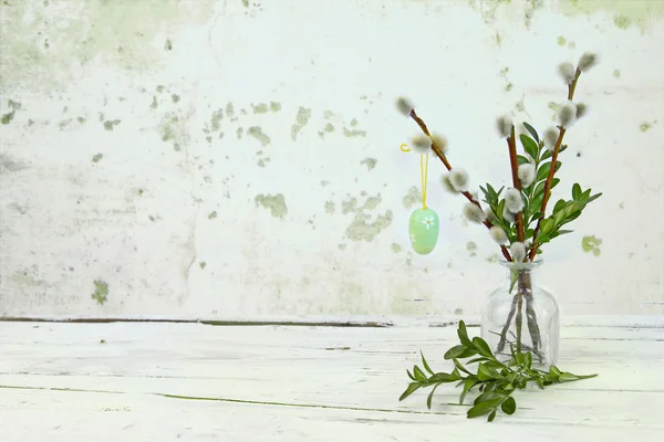 Pussy willow twijgen op hout achtergrond — Stockfoto