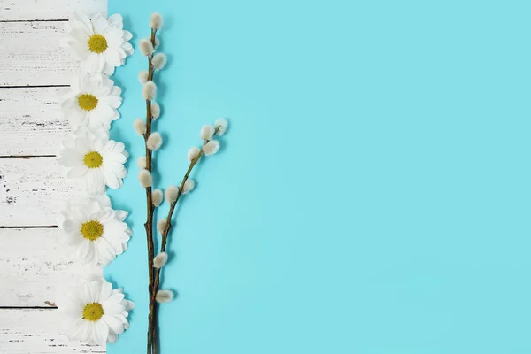 Flores de primavera y ramitas de sauce coño sobre fondo de madera — Foto de Stock