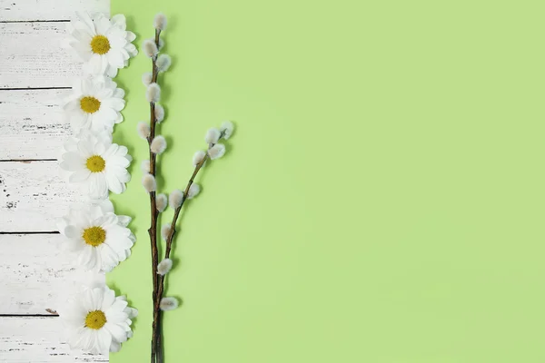 Primavera flores e buceta salgueiro galhos no fundo de madeira — Fotografia de Stock