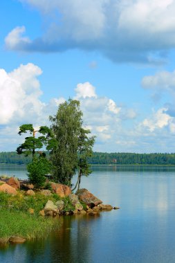 vyborg Bay görünümü