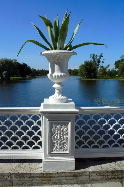 Peterhof, vaso decorativo — Foto Stock