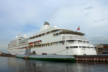 Saint-petersburg, gemi, Teğmen çıkabilir, yatak