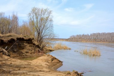 Bahar nehirde Tom sel