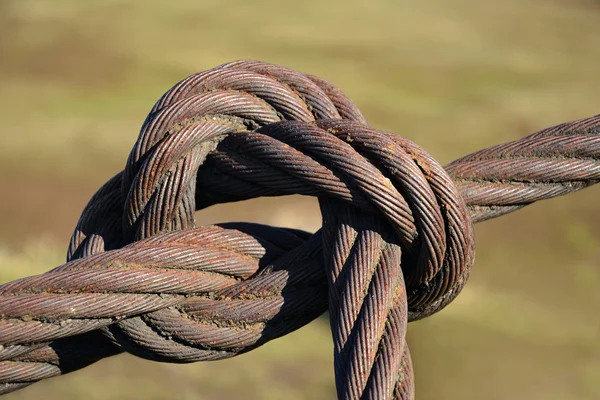ワイヤー ロープ、結び目で結ばれました。 — ストック写真