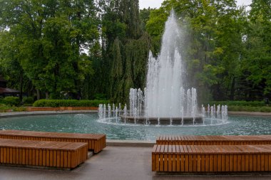 Kalininingrad, şehir parkında koni şeklindeki bir fıskiye.