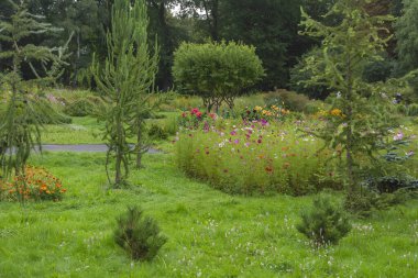 İyi bakılmış, yazın sonunda ormanın yanındaki bahçenin güzel bir parçası.