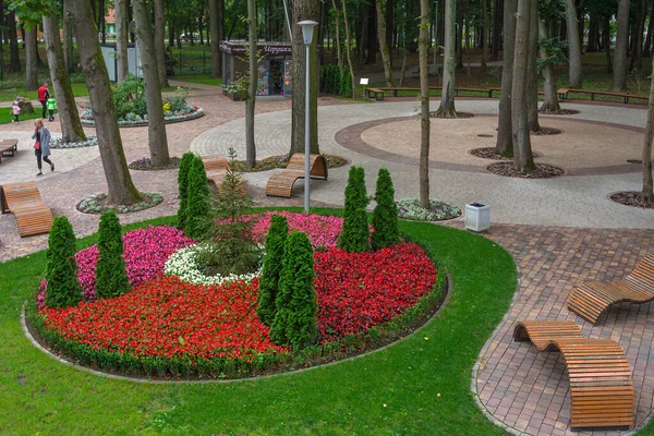 Gurjevsk Ryssland Augusti 2021 Barnpark Med Känslig Utveckling Gurjevsk Kaliningradregionen — Stockfoto