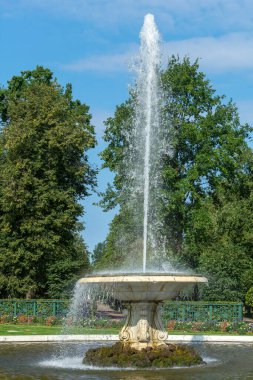 Peterhof, Rusya-30 Ağustos 2021: Aşağı Park, Peterhof, Saint Petersburg, Rusya 'daki Büyük İtalyan Çeşmesi (ilk kase)
