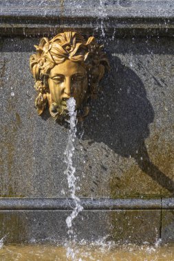 Peterhof, Rusya-30 Ağustos 2021: Aşağı Park, Peterhof, Saint Petersburg, Russi 'deki Aslan Çeşmesi' nin duvarında heykel maskesi