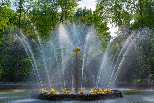 ロシア ピーターホーフ2021年8月30日 ロシア サンクトペテルブルク市ピーターホーフ下の庭に太陽の泉 — ストック写真