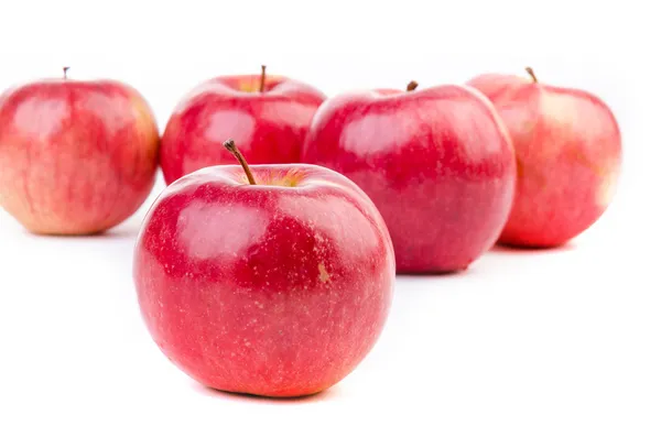Czerwone jabłka na białym tle Obraz Stockowy