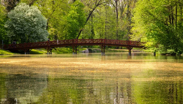 Пешеходный мост в парке — стоковое фото