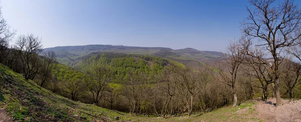 Panoramisch uitzicht met bossen en bergen Stockfoto