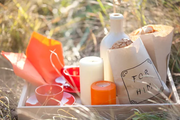 Picnic - chá e biscoitos — Fotografia de Stock