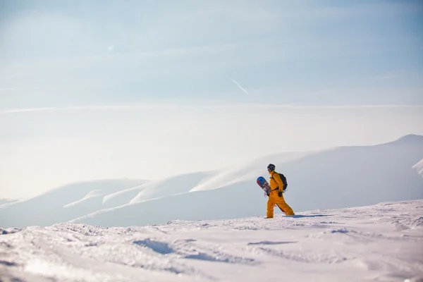 Snowboardåkare mot solen och himlen — Stockfoto