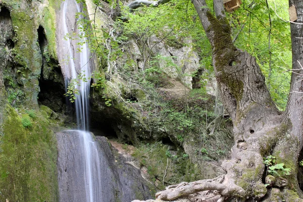 山瀑布自然场景 — 图库照片