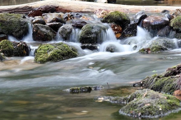 Acqua scena primavera — Foto Stock