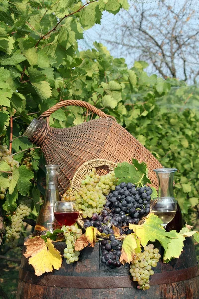 ブドウ園のブドウおよびワイン — ストック写真