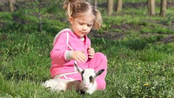 Niño y pequeña cabra mascota — Vídeo de stock