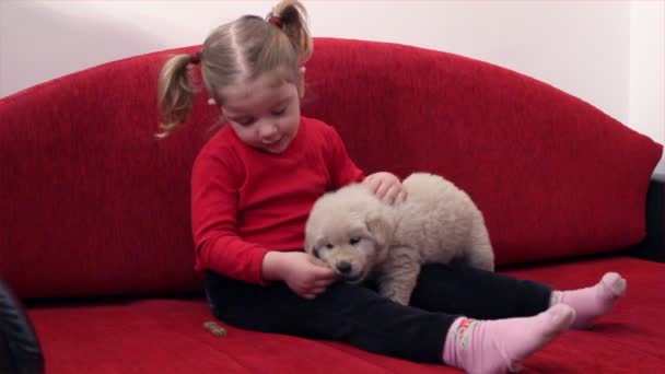 Kleines Mädchen füttert Hund — Stockvideo