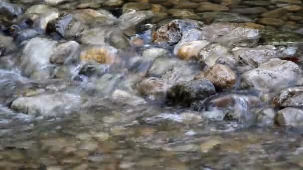 Corriente de agua dulce transparente — Vídeos de Stock