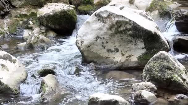 Creek met rotsen natuur scène — Stockvideo