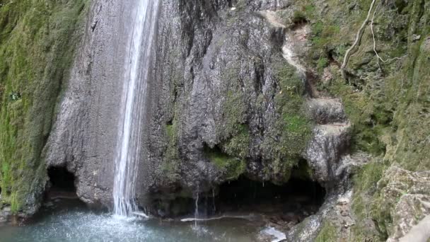 Scena di caduta dell'acqua natura — Video Stock